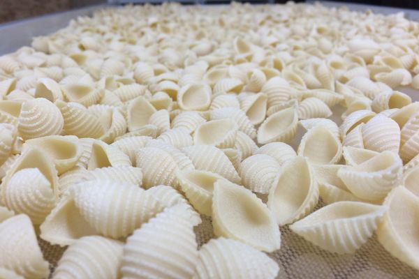 Fabrication des coquilles - Clayettes © La Fabric' d'Alice